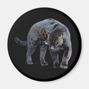 ジャガーディアブロ黒磁石 マグネット