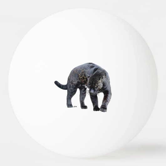 ジャガーディアブロ1星卓球 卓球ボール (正面)