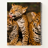 ジャガーファミリースパイラルノート ノートブック (裏面)