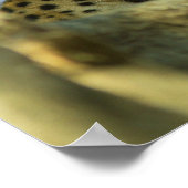 ジャガープリント ポスター (角)