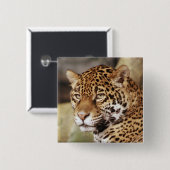 ジャガーボタン 缶バッジ (正面&裏面)