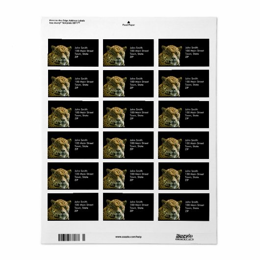 ジャガーラベル ラベル (フルシート)