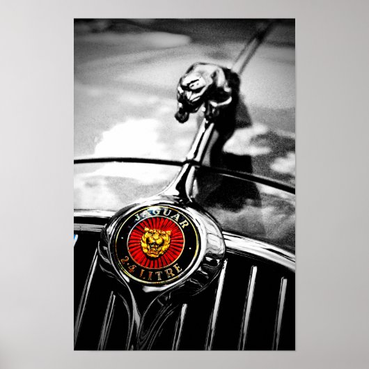 ジャガーリーパーリーピング猫 ポスター (正面)