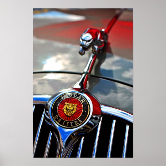 ジャガーリーパーリーピング猫 ポスター (正面)