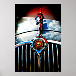 ジャガーリーパーリーピング猫 ポスター