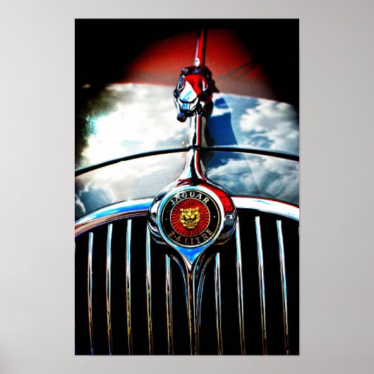 ジャガーリーパーリーピング猫 ポスター (正面)