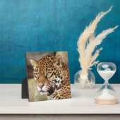 ジャガー写真プラーク フォトプラーク (インサイチュ)