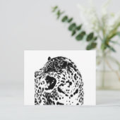 ジャガー咆哮 ポストカード (スタンド正面)