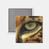 ジャガー大きな猫野生磁石の目 マグネット (正面/裏面)