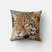ジャガー枕 クッション (正面)