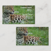 ジャガー猫の名刺 名刺 (正面/裏面)