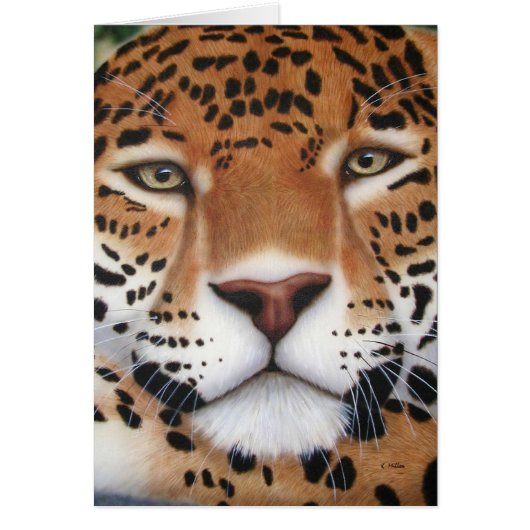 ジャガー絵画ズ (正面)