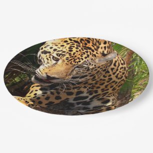 ジャガー青年 ペーパープレート