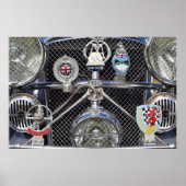 ジャガー100. ポスター (正面)