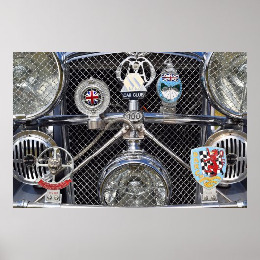 ジャガー100. ポスター (正面)