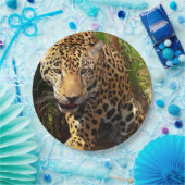 ジャガー・アドルセント ペーパープレート (パーティー)