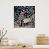 ジャガー・イン・ザ・フォレスト油絵を描、ポスター ポスター (キッチン)