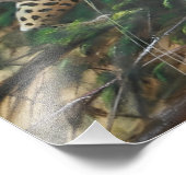 ジャガー・オン・ザ・プロール フォトプリント            (角)