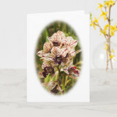 ジャガー・オーキッドのグリーティングカード カード (黄色い花)