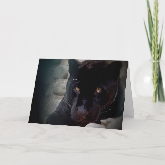 ジャガー カード (正面)