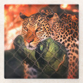 ジャガー ガラスコースター (正面)