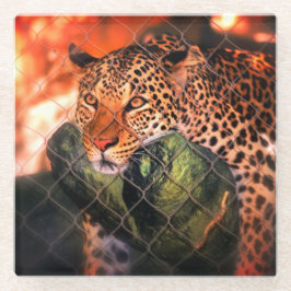 ジャガー ガラスコースター