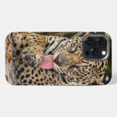 ジャガー キューブケース Case-Mate iPhoneケース iPhone 13 Pro Maxケース (裏面横)