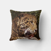 ジャガー クッション (裏面)