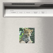 ジャガー・クブ マグネット (インサイチュ (食洗機))