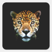 ジャガー スクエアシール (正面)