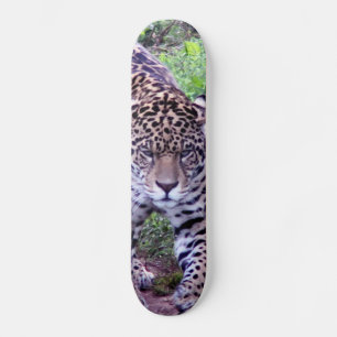 ジャガー スケートボード