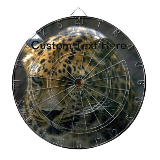 ジャガー ダーツボード (正面)