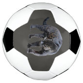 ジャガー・ディアブロ灰色サッカーボール サッカーボール (回転)