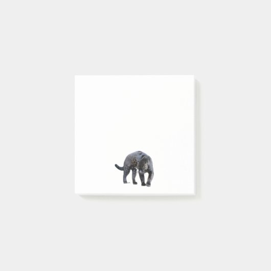 ジャガー・ディアブロ白いノートパッド ポストイット (正面)