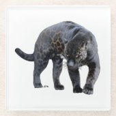 ジャガー・ディアブロ白ガラスコースター ガラスコースター (正面)