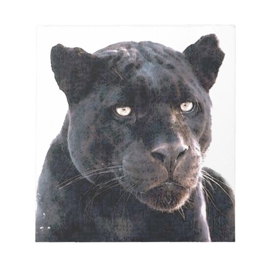 ジャガー ノートパッド (正面)