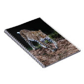 ジャガー ノートブック (右側)