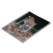 ジャガー ノートブック (左側)