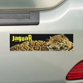 ジャガー バンパーステッカー (車上)