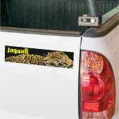 ジャガー バンパーステッカー (トラック上)
