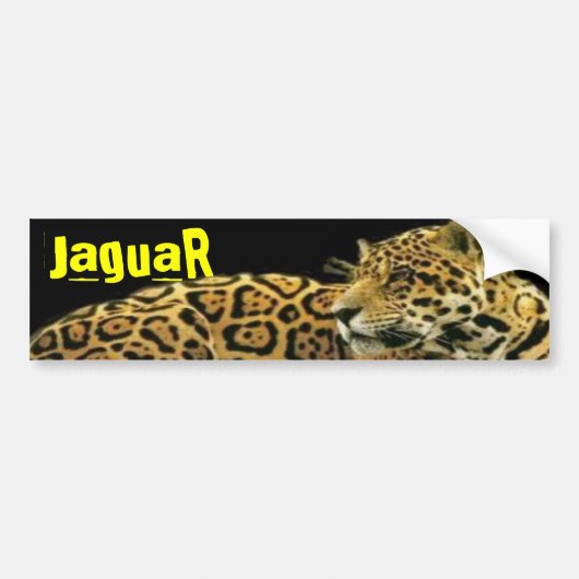 ジャガー バンパーステッカー (正面)