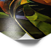 ジャガー・ブロッサム – アマゾニアの女性 フォトプリント            (角)