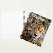 ジャガー プランナー手帳 (ディスプレー)