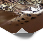 ジャガー ポスター (角)