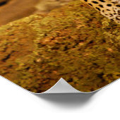 ジャガー ポスター (角)