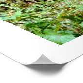 ジャガー ポスター (角)