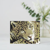 ジャガー ポストカード (スタンド正面)