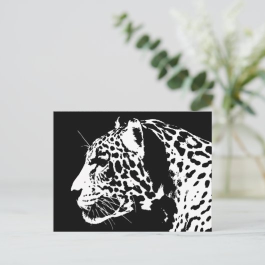 ジャガー ポストカード (スタンド正面)