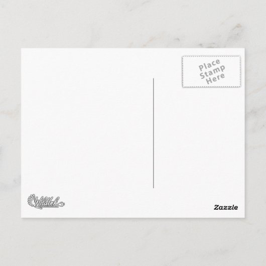 ジャガー ポストカード (裏面)