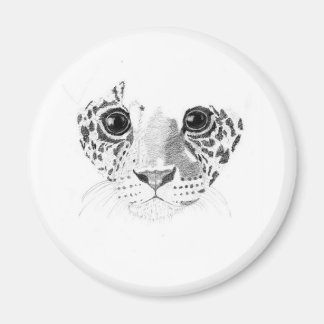 ジャガー マグネット